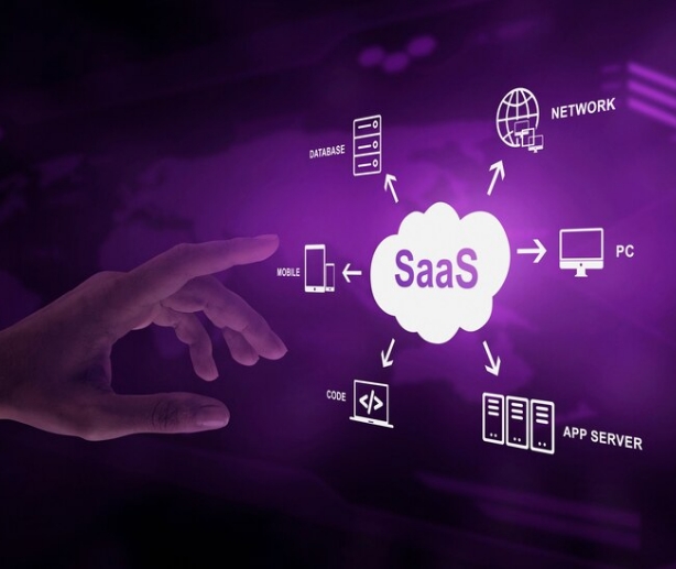 SaaS Companies - Unity Payments